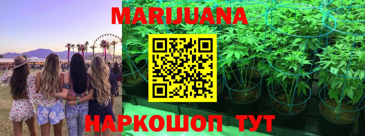 Бошки марихуана LSD WEED  Вход с VPN  Каннабис семена  Великие Луки  Марихуана гибрид 